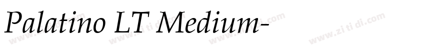 Palatino LT Medium字体转换
